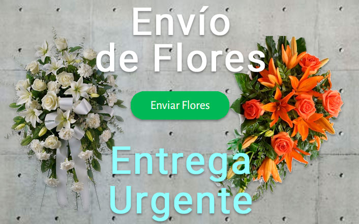 Envio flores difunto urgente a Tanatorio Ibiza